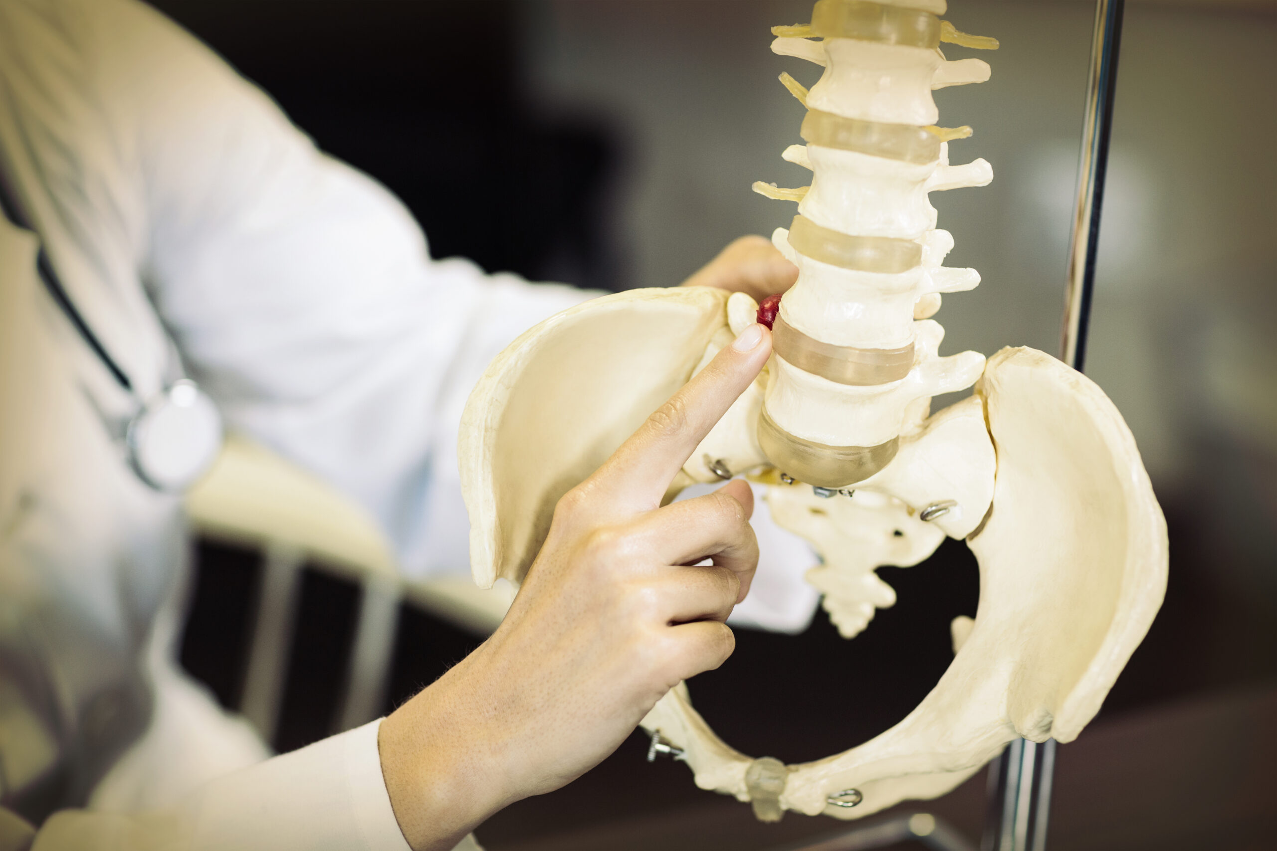 Chiropractor Ken Frederick Explains How Often Chiropractic Adjustments Are Needed And Why