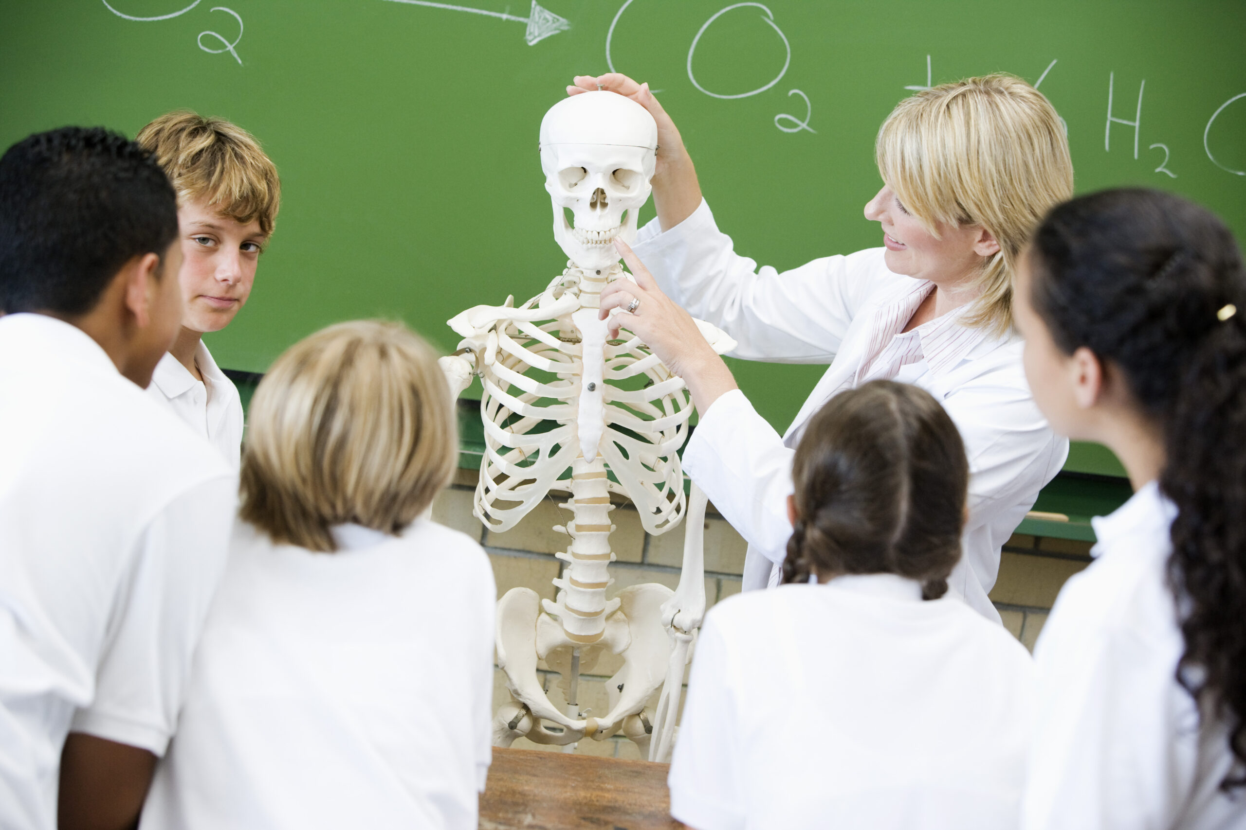 Chiropractor Alan Bonebrake Explains the Five Parts Of His Seminars Teaching His Techniques To Other Chiropractors