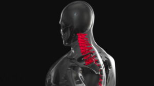 Chiropractor Ken Frederick Explains If Both Muscle And Bone Are Involved In Chiropratic Care - Chiropractor Interview