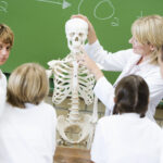 Chiropractor Alan Bonebrake Explains the Five Parts Of His Seminars Teaching His Techniques To Other Chiropractors