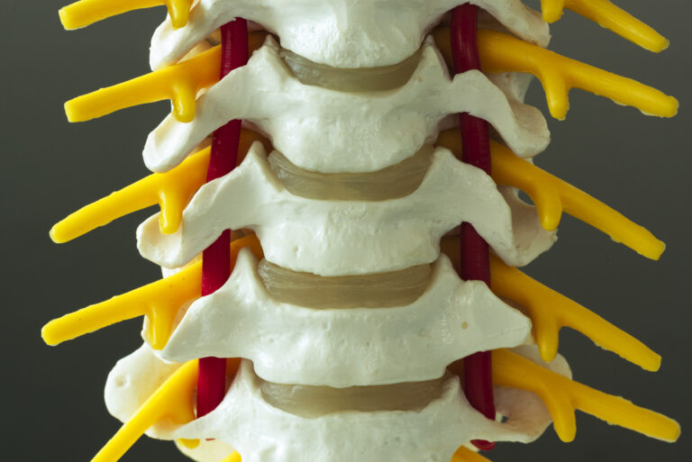 Chiropractic Growth Secrets Every Doctor Should Know